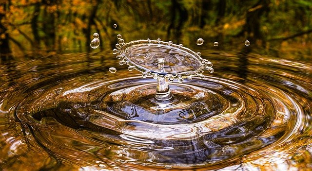 Ist destilliertes Wasser besonders gut für Fischaquarien?