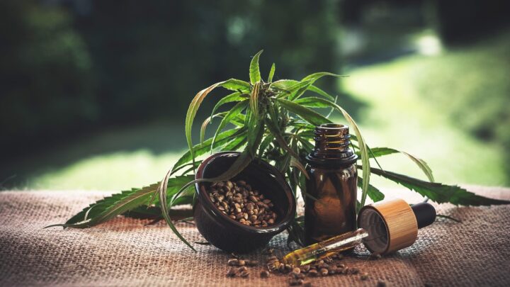 cbd, cannabidio, cbd oil, hemp oil, weed, hemp, cannabinoid, oil, health, thc, medical, green