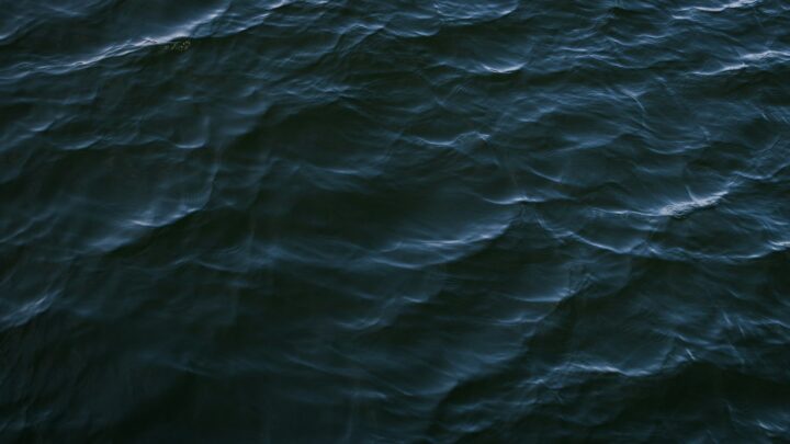 close up photo of body of water